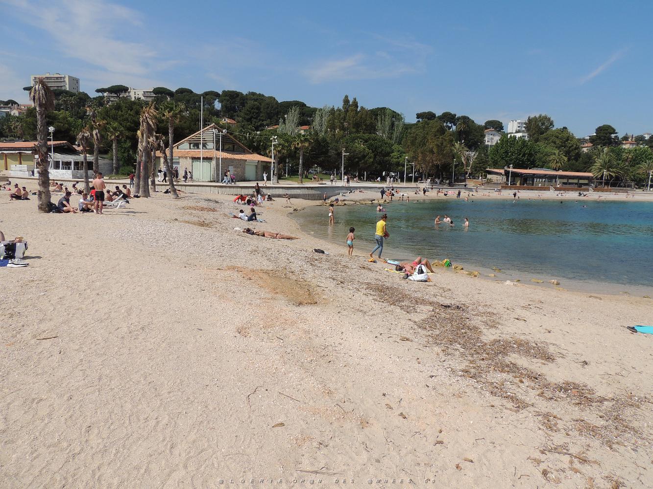 20200523 PLAGES DU MOURILLON (25).JPG -           